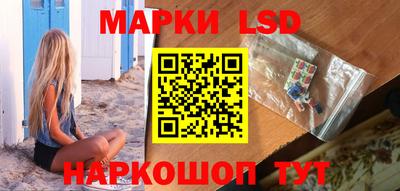 гашик Гудермес