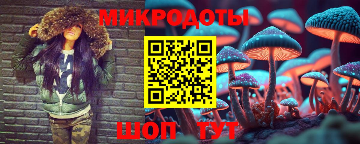 Псилоцибиновые грибы Psilocybe Ивантеевка