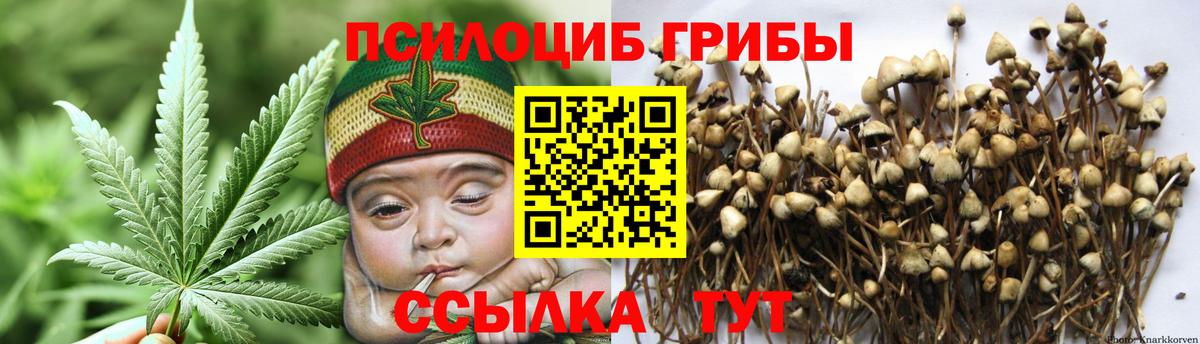 Ивантеевка  дарнет шоп  Вход с VPN  Псилоцибиновые грибы прущие грибы 